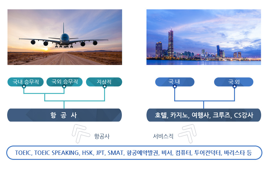 청주대학교 항공서비스학과 취업 로드맵